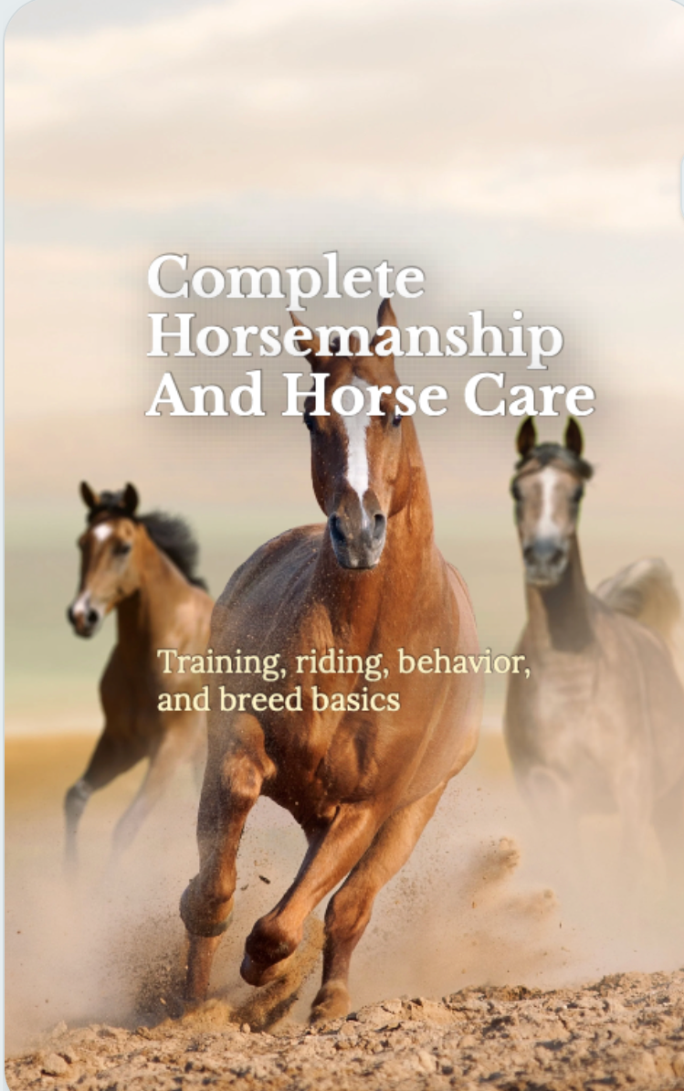 The Mindful Horseman E-Book